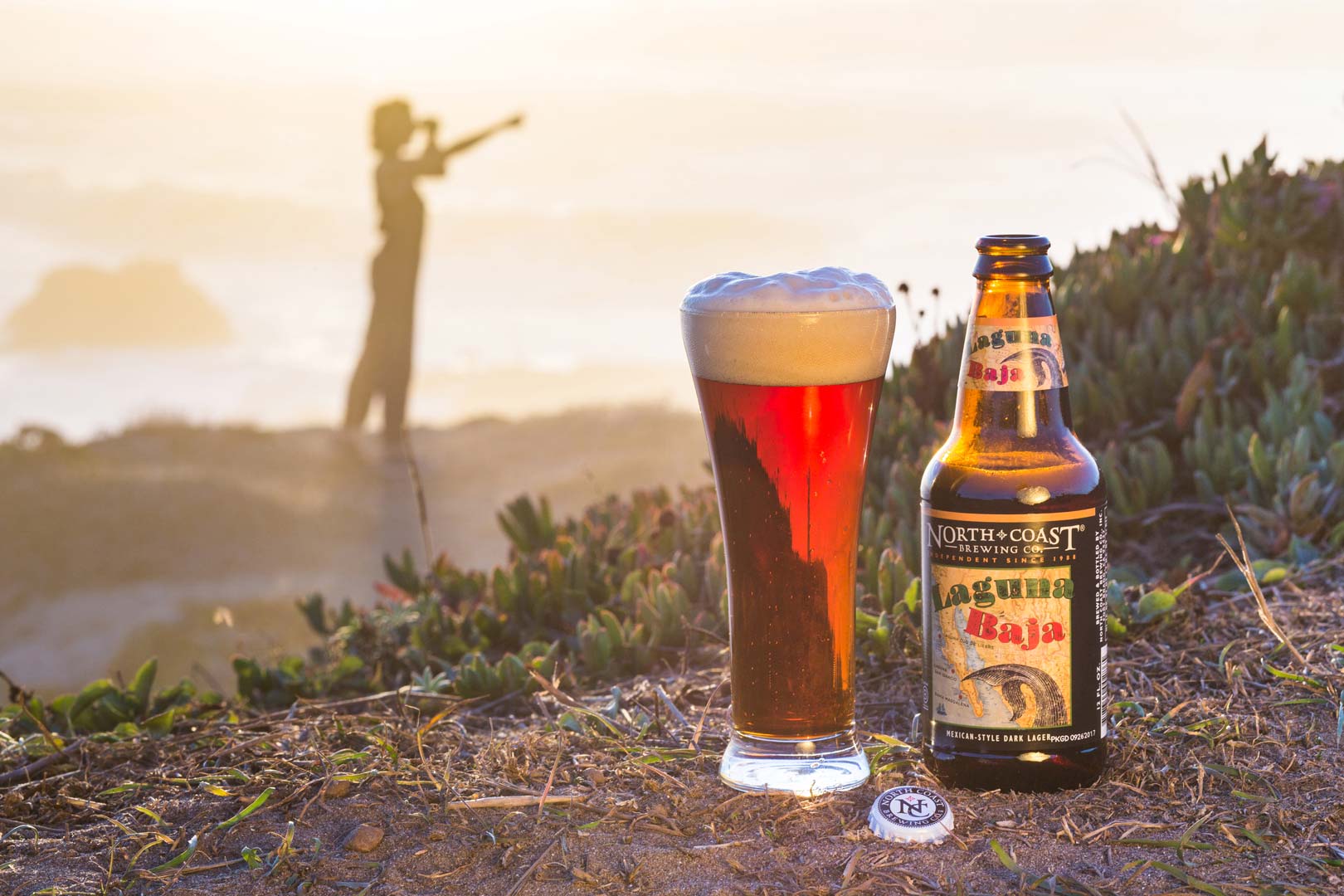 Put down your IPA and try Laguna Baja, our new Mexican-Style Dark Lager