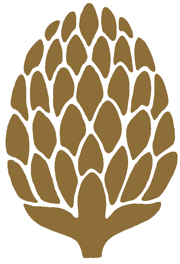 stylized image of hop bud