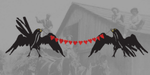 Le Merle for Valentine's Day