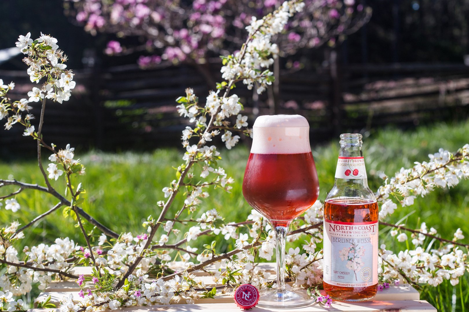 Welcome Spring with our Tart Cherry Berliner Weisse