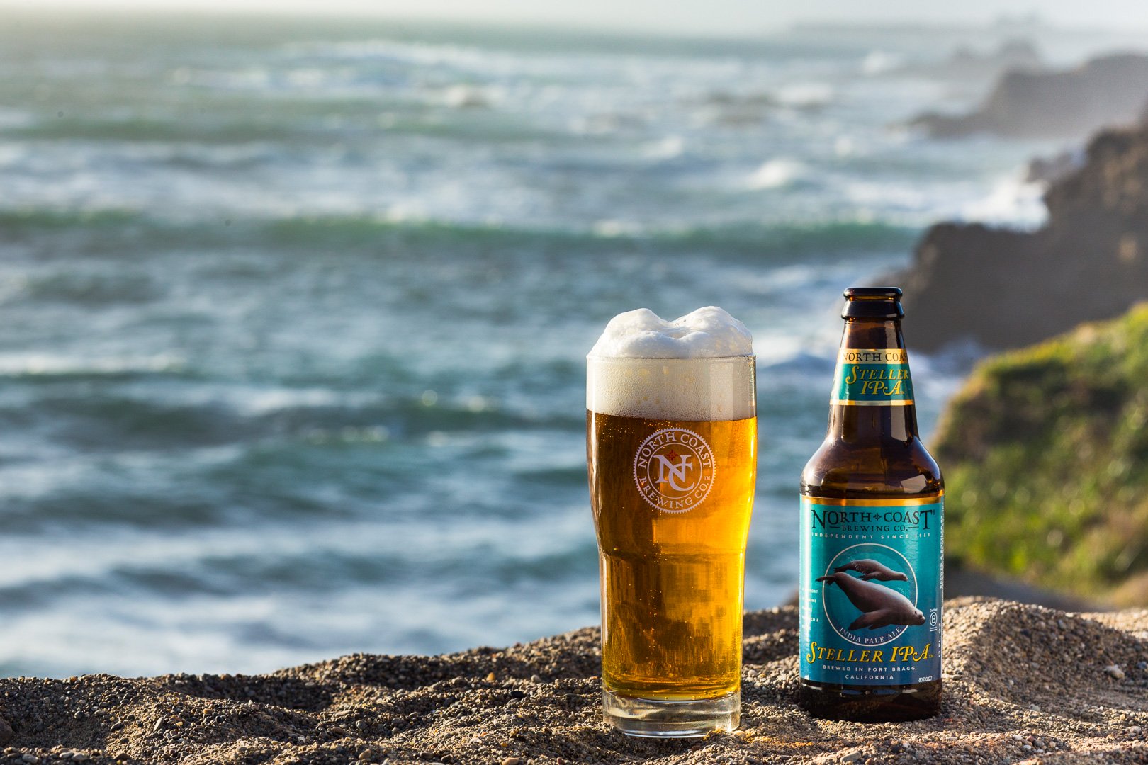 Celebrate World Oceans Day with an Ocean-Friendly IPA