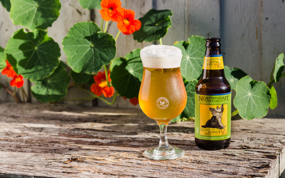 Belgo-Style Dry-Hopped Pale Ale Is a Summer Session Beer Extraordionaire