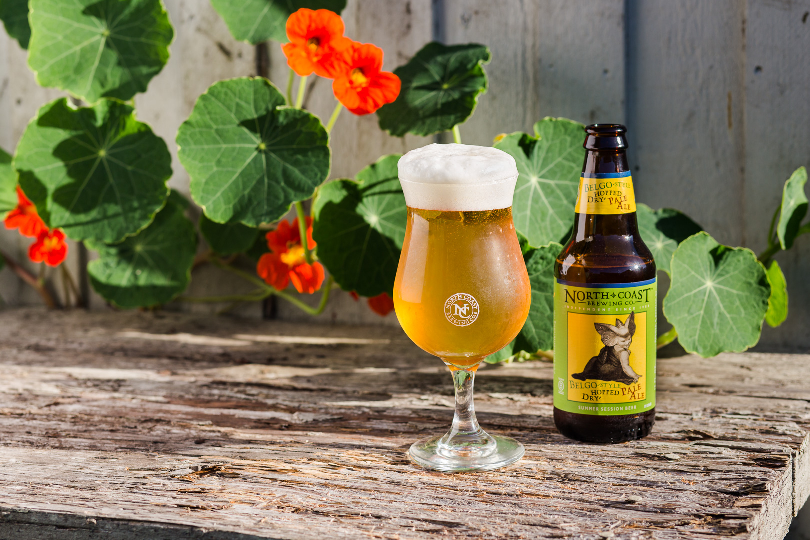 Belgo-Style Dry-Hopped Pale Ale Is a Summer Session Beer Extraordionaire