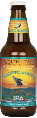 12oz bottle of Foggy Day IPA