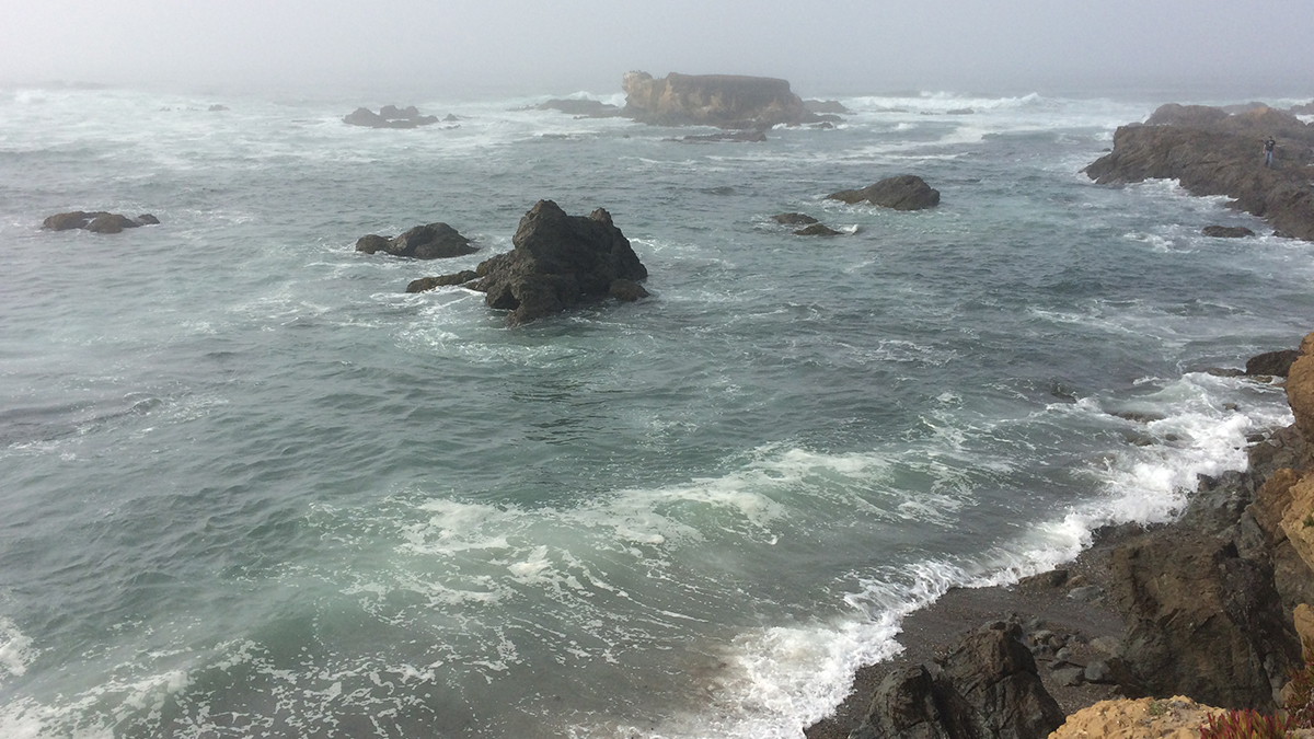 View of the rocky coast just outside of Fort Bragg on a foggy morning.