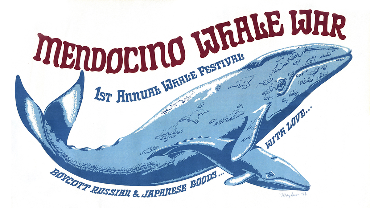   Poster for Mendocino Whale War and first Whale Festival with a drawing of a mother whale and calf.