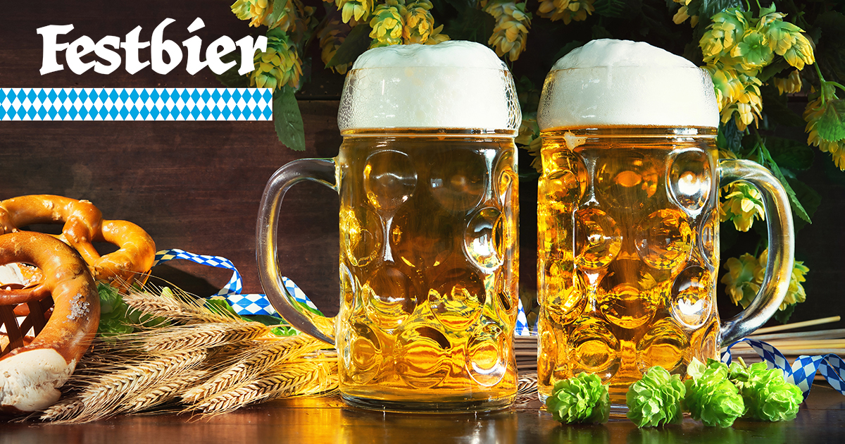 Two tall mugs of Festbier with hobs and pretzels.